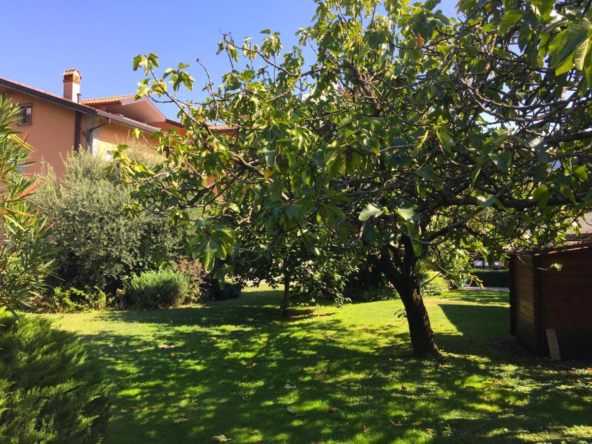 Abies Lago Di Como Dongo Exteriér fotografie