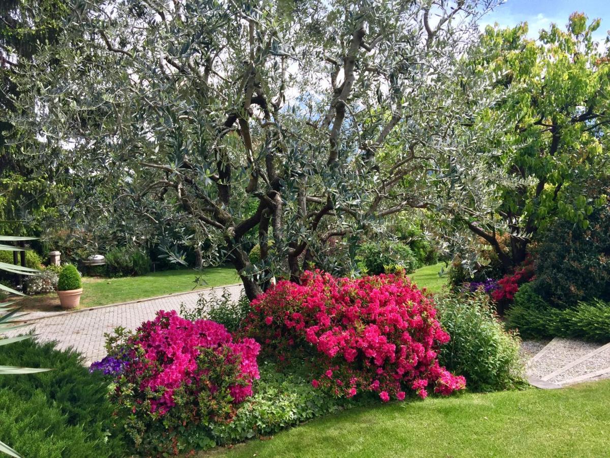 Abies Lago Di Como Dongo Exteriér fotografie