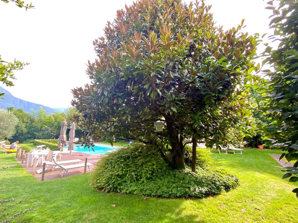 Abies Lago Di Como Dongo Exteriér fotografie